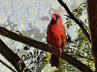Cardinal Knowledge | Obraz na stenu