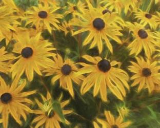 Every Flower Is A Soul | Obraz na stenu