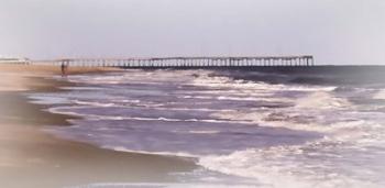 Morning Jog On The Beach | Obraz na stenu