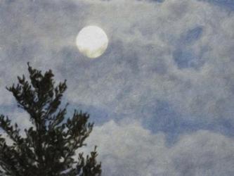 Full Moon In A Cloudy Evening Sky | Obraz na stenu