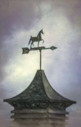 No Direction Known - Weather Vane | Obraz na stenu