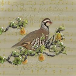 Partridge In A Pear Tree | Obraz na stenu