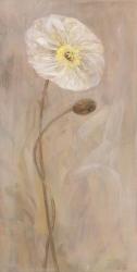 Poppies I | Obraz na stenu
