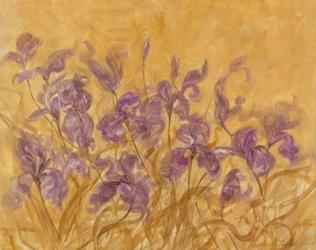 Irises I | Obraz na stenu
