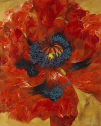 Poppies I | Obraz na stenu