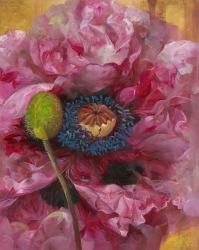 Poppies II | Obraz na stenu