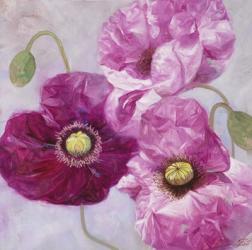 Purple Poppies I | Obraz na stenu