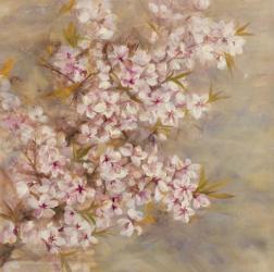 Cherry Blossom II | Obraz na stenu