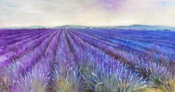 Lavender VI | Obraz na stenu