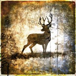 High Country Deer | Obraz na stenu