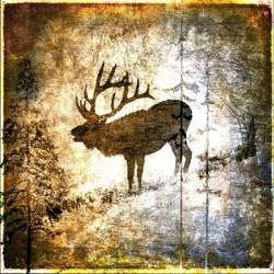 High Country Elk | Obraz na stenu