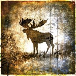 High Country Moose | Obraz na stenu
