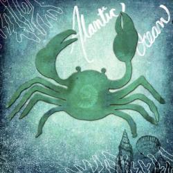 Alantic Ocean Crab | Obraz na stenu