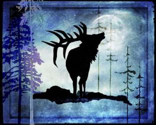Midnight Elk | Obraz na stenu