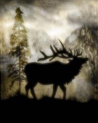 Mystic Elk | Obraz na stenu