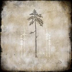 Moose Lodge 2 - Lodge Pole | Obraz na stenu