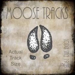 Moose Lodge 2 - Moose Tracks 2 | Obraz na stenu