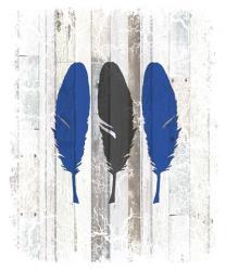 The Blue Moose - Feathers | Obraz na stenu
