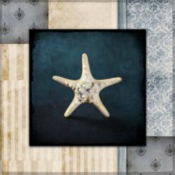Blue Sea Bumpy Star | Obraz na stenu