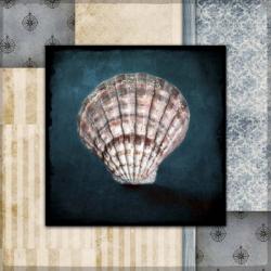 Blue Sea Clam Shell 2 | Obraz na stenu