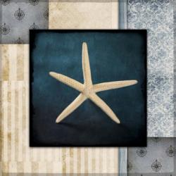 Blue Sea Starfish | Obraz na stenu