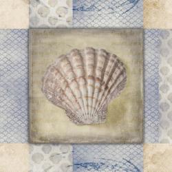 White Sea Shell | Obraz na stenu