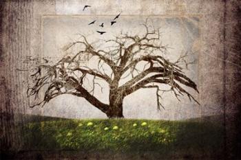 Cottonwood Tree Part 3 | Obraz na stenu