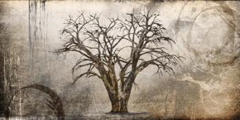 Cottonwood Tree Part 7 | Obraz na stenu