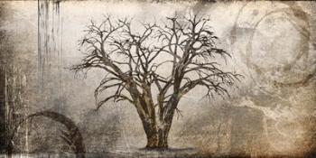 Cottonwood Tree Part 7 | Obraz na stenu