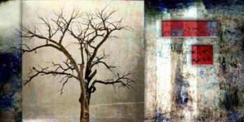 Cottonwood Tree Part 12 | Obraz na stenu