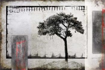 July Tree 3 | Obraz na stenu