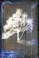 July Tree 5 | Obraz na stenu