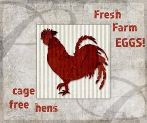 Decorative Pattern Farm Fresh Chicken | Obraz na stenu