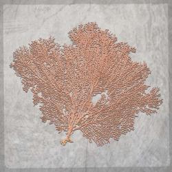 Decorative Sea Leaf 3 | Obraz na stenu