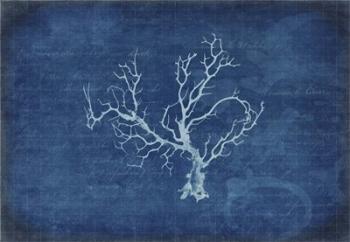 Gypsy Blue Cyanotype V1 | Obraz na stenu