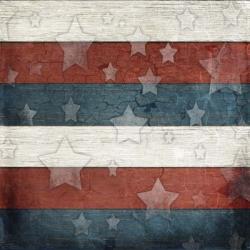 American Freedom Collection V3 | Obraz na stenu