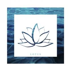 Yoga V1 Lotus | Obraz na stenu