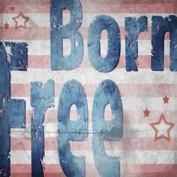 American Born Free Sign Collection 1 | Obraz na stenu
