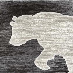 Good Night Bear | Obraz na stenu