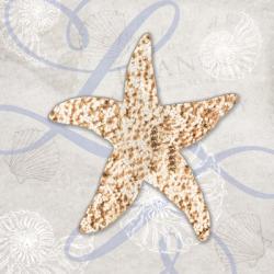Sea Side Gypsy - Starfish | Obraz na stenu