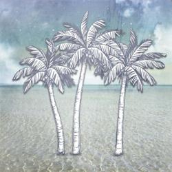 Beach Signs PalmTrees | Obraz na stenu