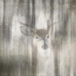 Antique Wildlife Deer 01 | Obraz na stenu