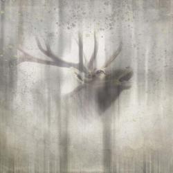 Antique Wildlife Elk 2 | Obraz na stenu
