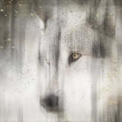 Antique Wildlife Wolf | Obraz na stenu