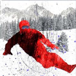 Extreme Snowboarder 02 | Obraz na stenu