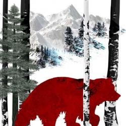 Winter Bear | Obraz na stenu