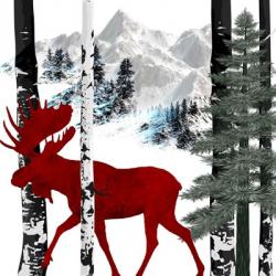 Winter Moose | Obraz na stenu