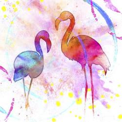 Painted Pink Flamingo | Obraz na stenu