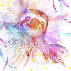 Painted Pink Sloth | Obraz na stenu