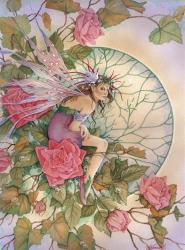 Morning  Rose | Obraz na stenu